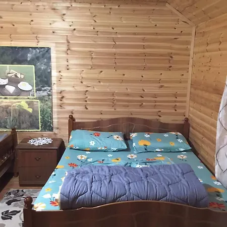 Zariklis Vendégház Theth