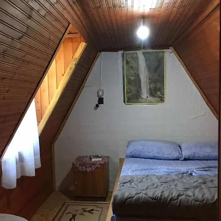 Zariklis *